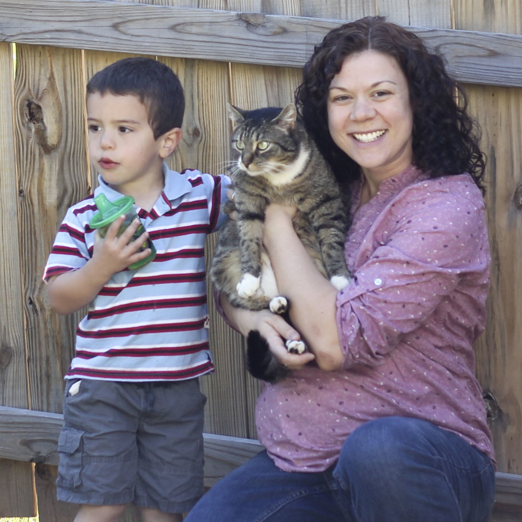 Gabe, Baby Kitty, Momma & prego belly