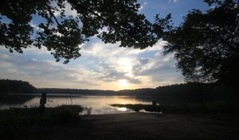 My First Picture Run