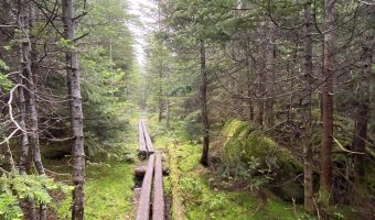 Hiking out of the Adirondacks